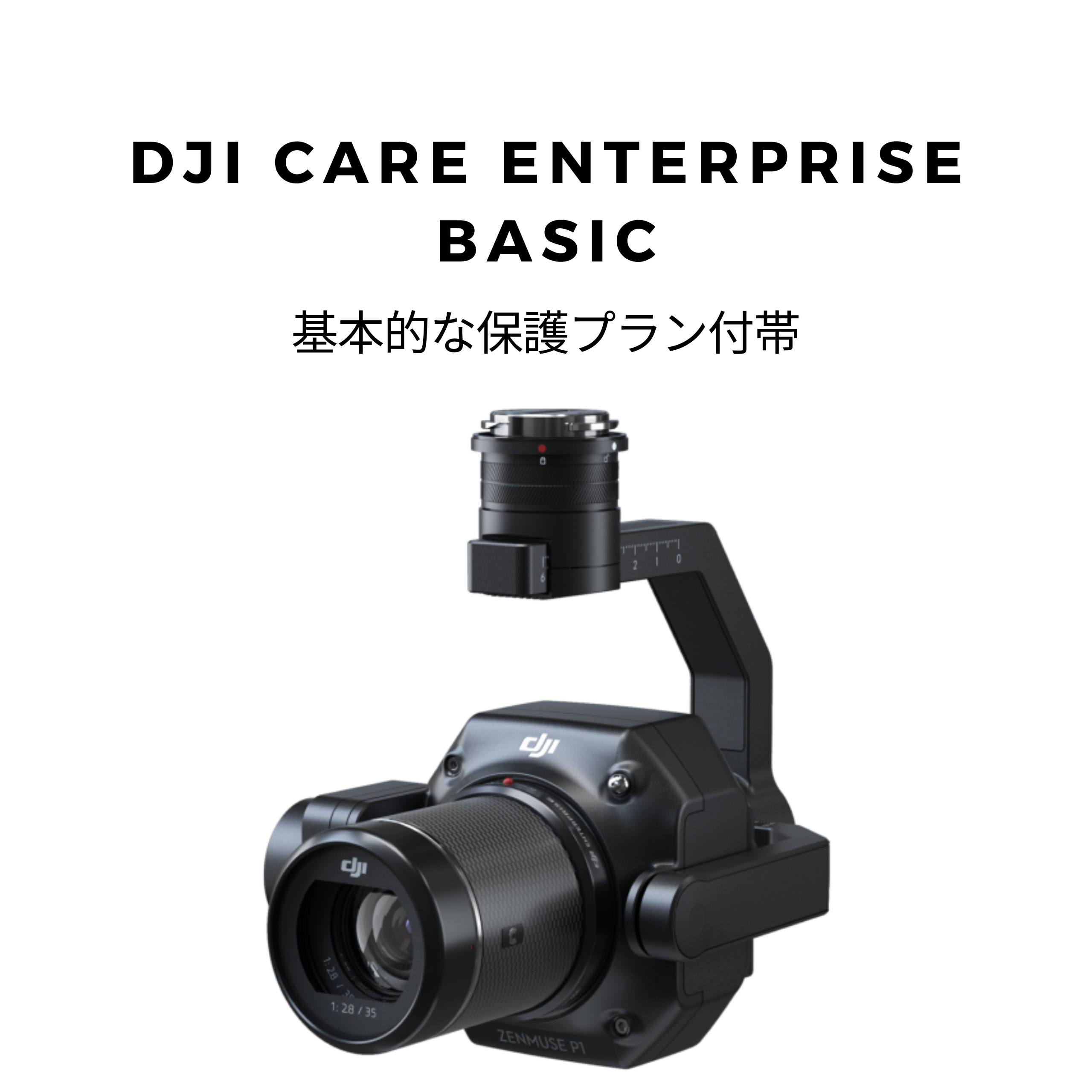 DJI Zenmuse P1 + DJI Care Enterprise Basic + TERRA永久ライセンス