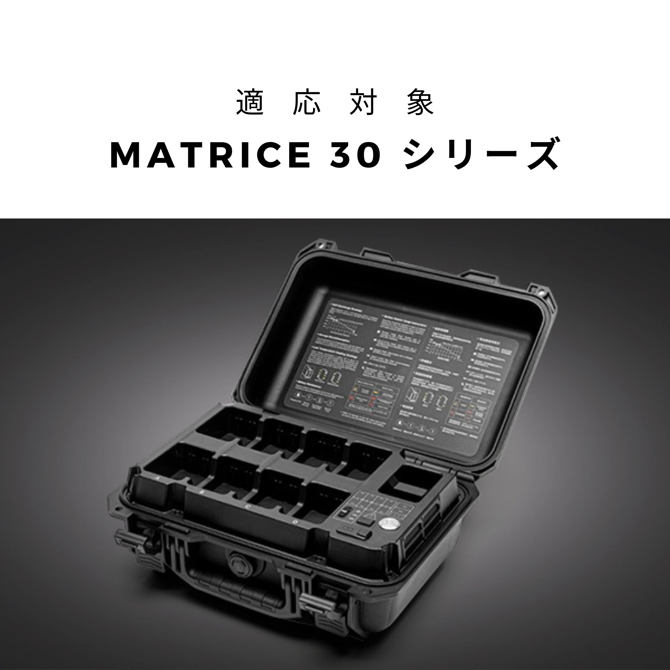 BS30 インテリジェントバッテリーステーション